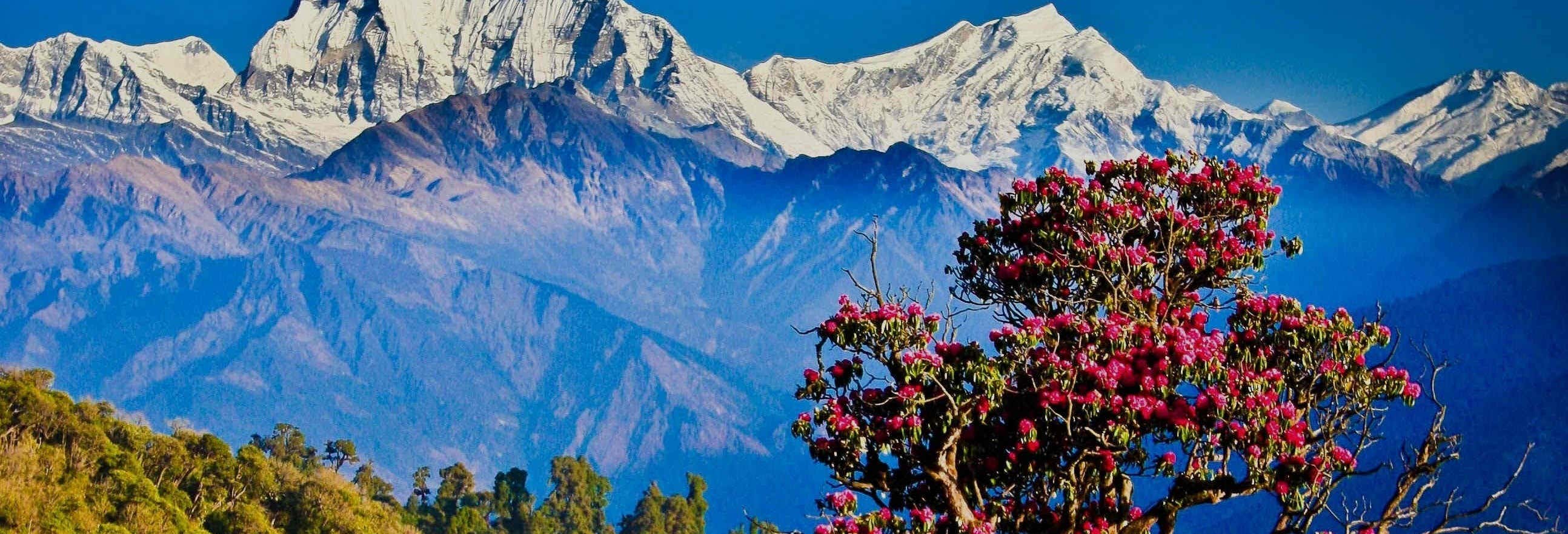Trekking de 3 días por Poon Hill y Ghorepani