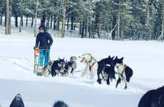 Paseo en trineo de perros husky