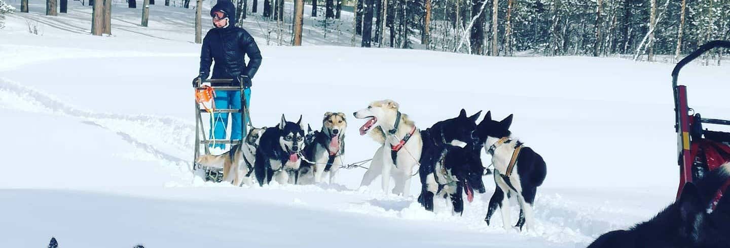 Paseo en trineo de perros husky