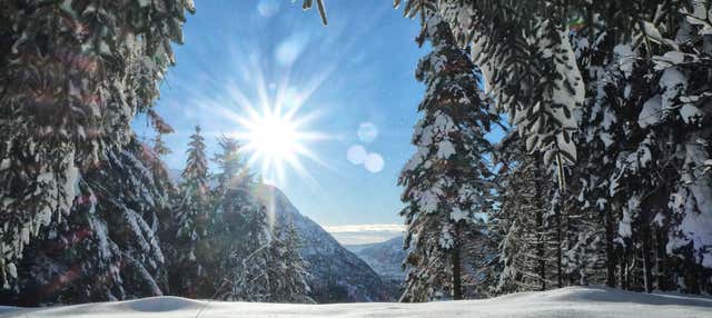 Bergen Snowshoe Hike