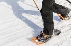 Paseo con raquetas de nieve por Hamn