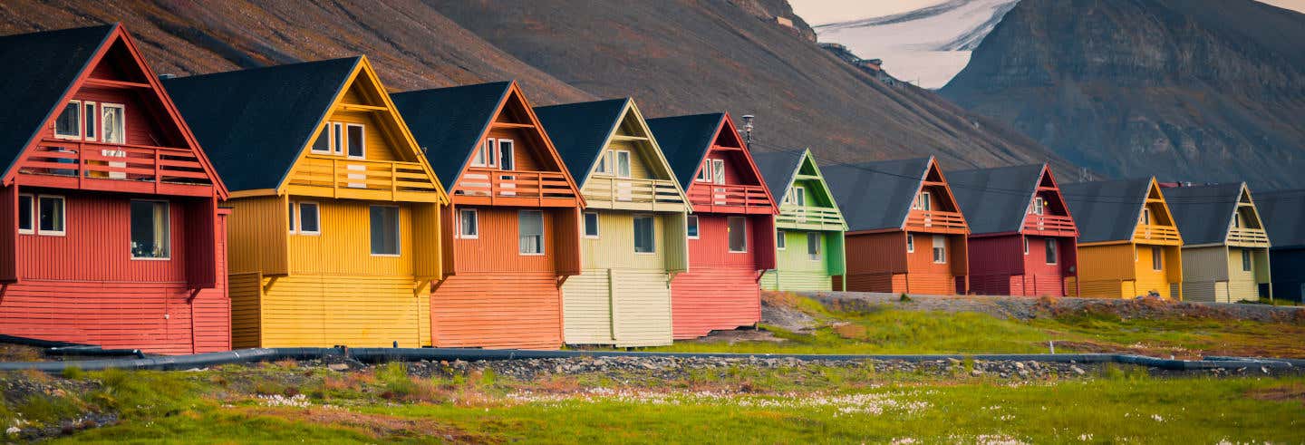 Tour por Longyearbyen para cruceros