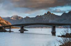 Visite des îles Lofoten