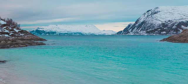 Excursion aux fjords norvégiens