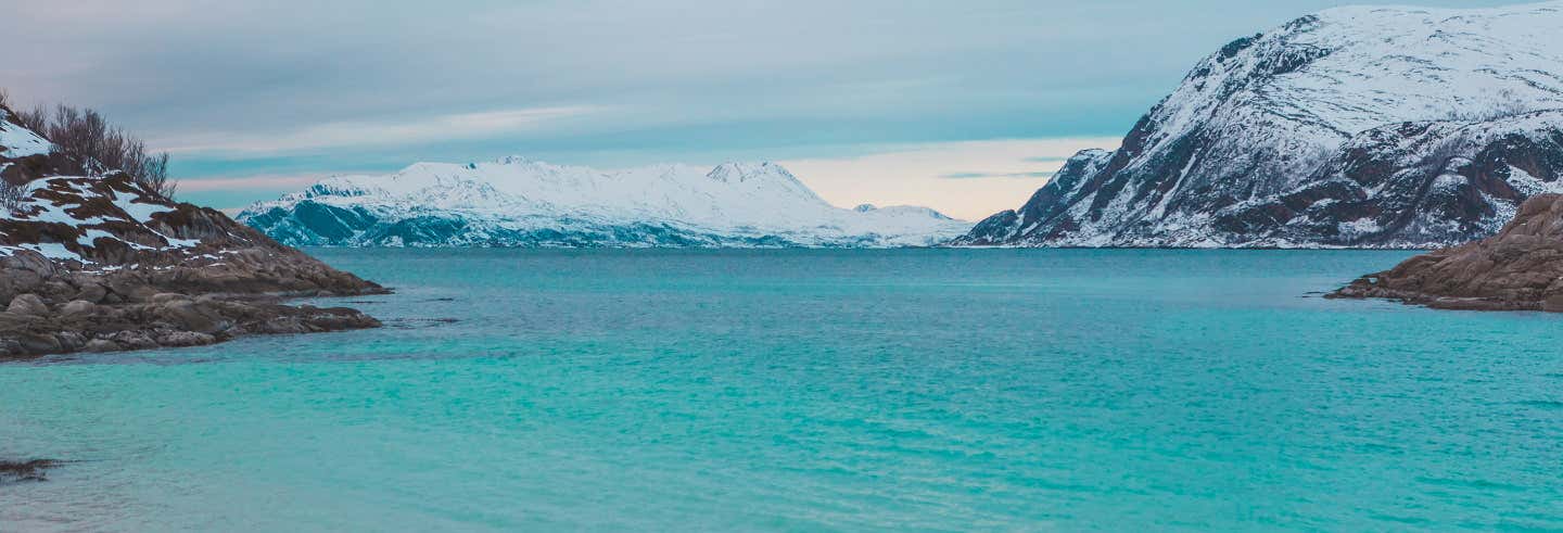 Excursión a los fiordos noruegos