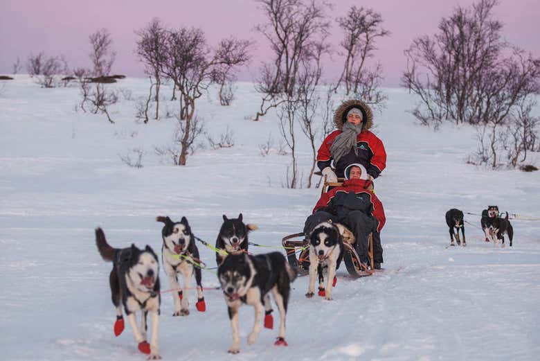 Sit Back And Relax Morning Husky Tour