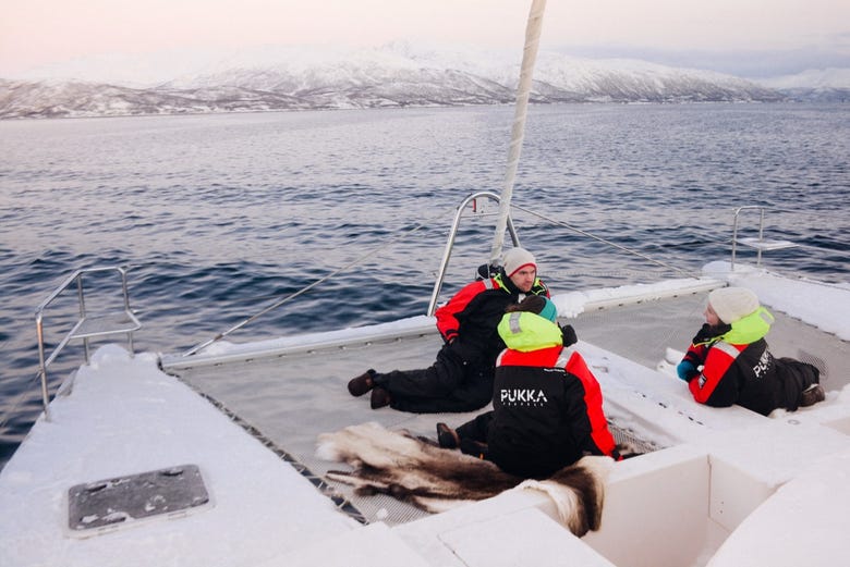Balade en catamaran sur les eaux de l'Arctique