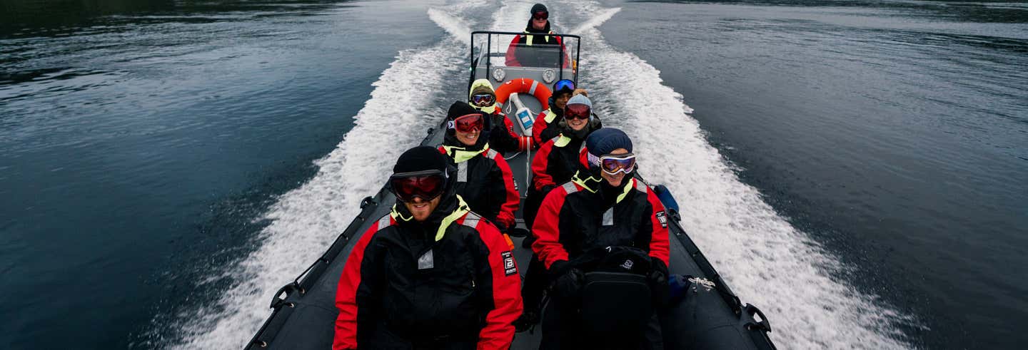 Arctic Fjord Speedboat Trip