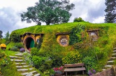 Excursión a Hobbiton + Cuevas de Waitomo