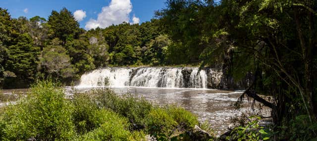 Excursión privada a Kerikeri