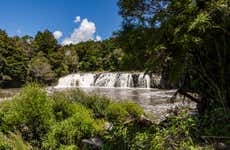 Excursão privada a Kerikeri