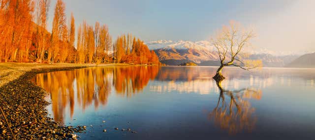 Excursion à Wanaka et Arrowtown