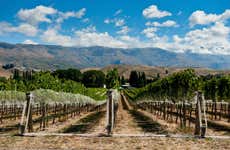 Route des vins dans Gibbston