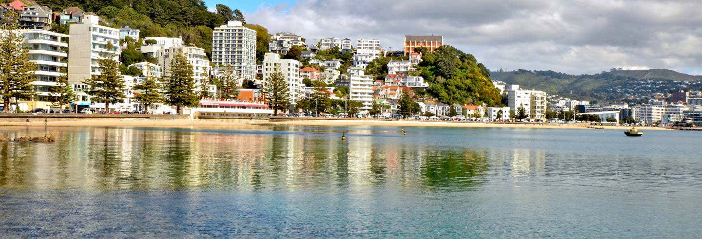 Autobus turistico di Wellington
