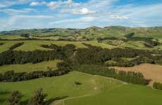 Tour do vinho por Martinborough