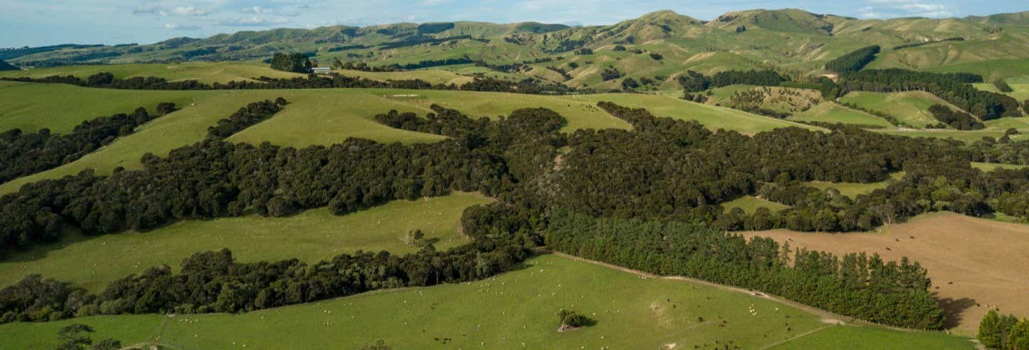 Tour del vino a Martinborough