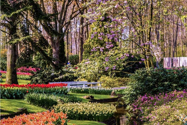 Guided Tour of the Keukenhof Gardens, Amsterdam