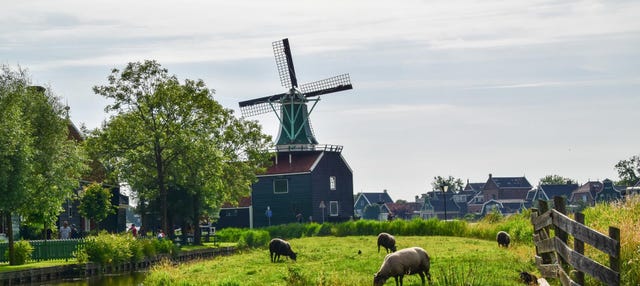 Excursão a Roterdã, Marken, Volendam e Zaanse Schans