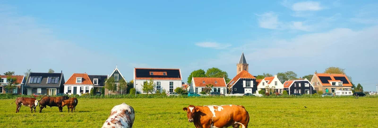 dutch countryside bike tour