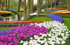 Keukenhof Ticket + Transport from Haarlem