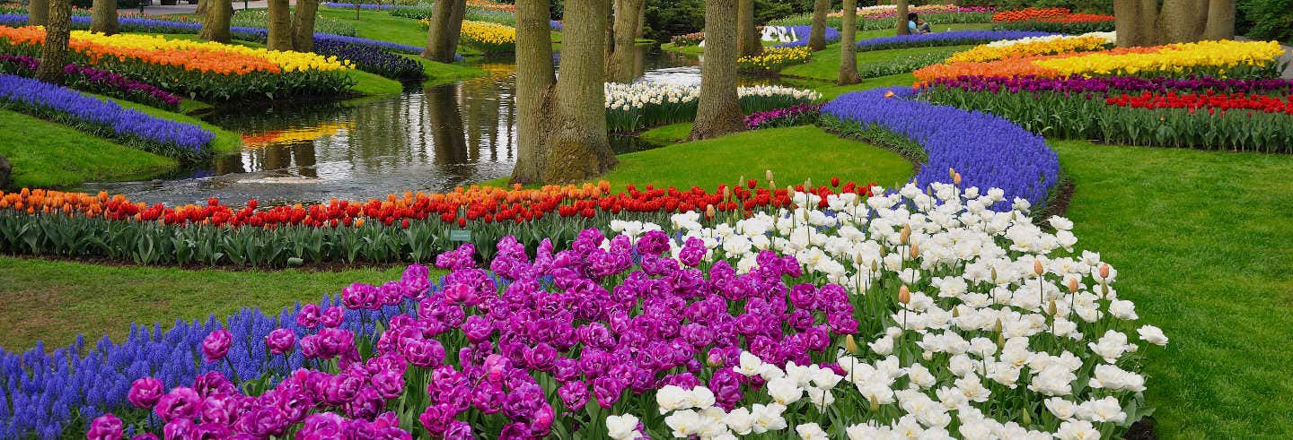 Autobús a Keukenhof con entrada