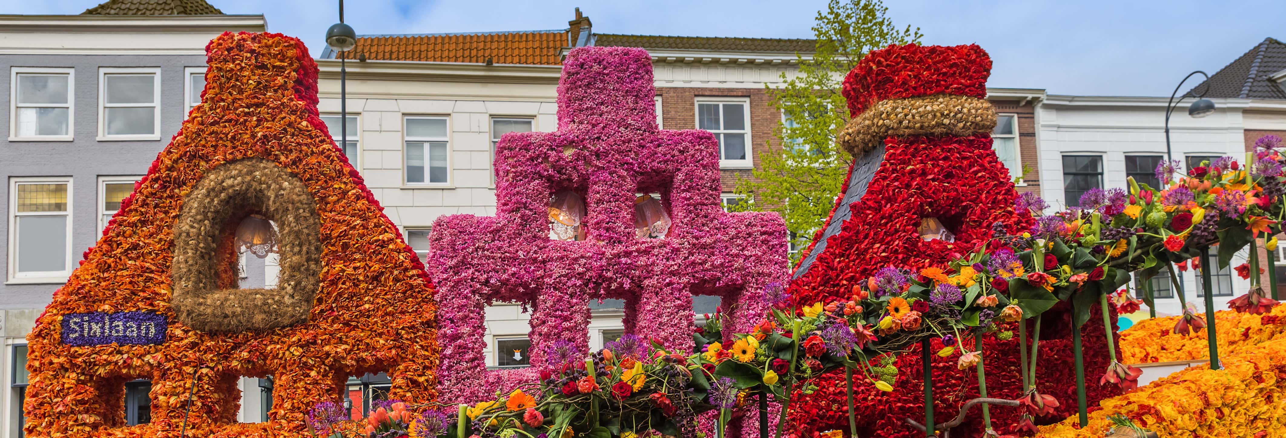 Tour en bicicleta por Haarlem
