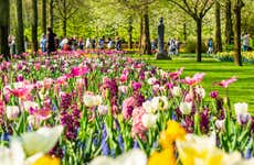 Autobus per Keukenhof con biglietti