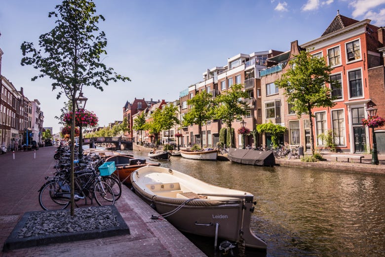 Canales de Leiden