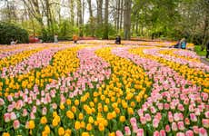 Keukenhof Ticket