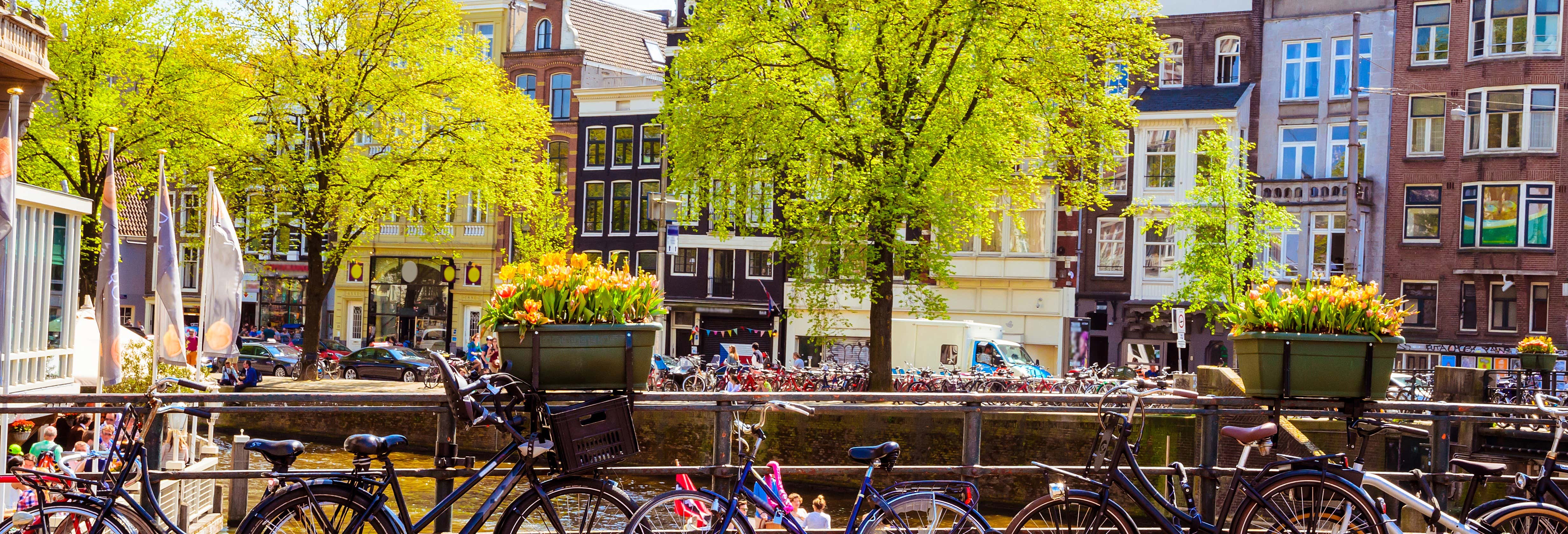 Excursión a Ámsterdam para cruceros