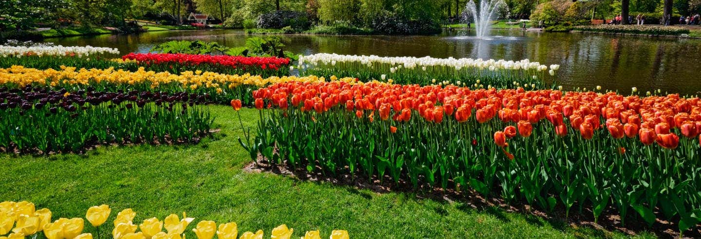 Excursión a Keukenhof