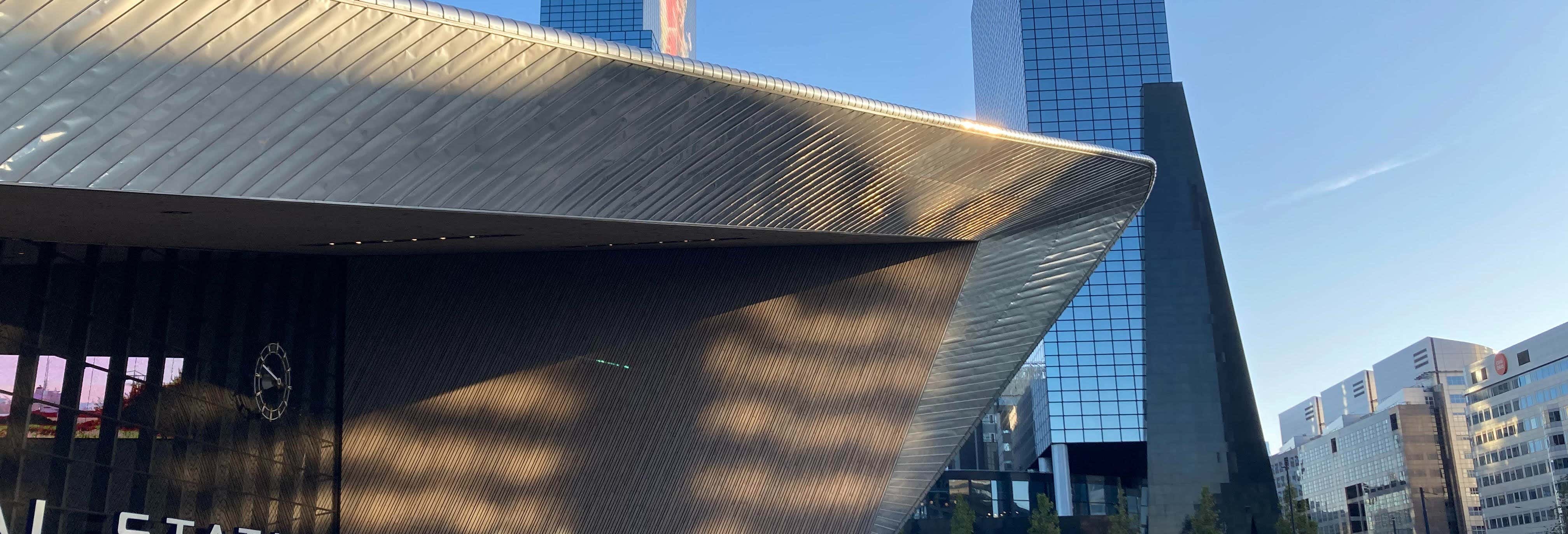Guided Walking Tour of Rotterdam