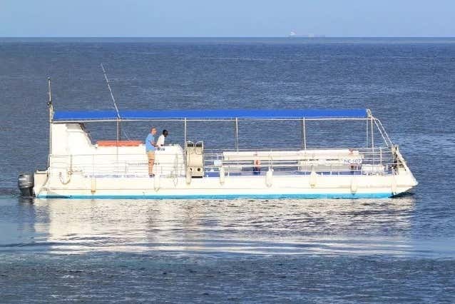 The glass bottom boat - The glass bottom boat