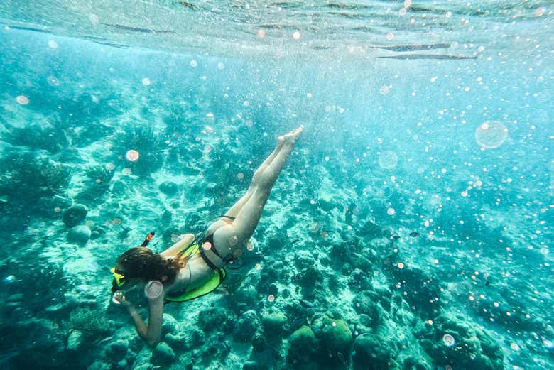 Having fun exploring the sea floor - Having fun exploring the sea floor
