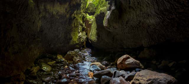 Excursión a las cuevas de Bayano + Kayak por el río Tigre