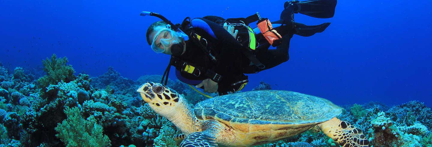 Buceo en Portobelo desde Ciudad de Panamá