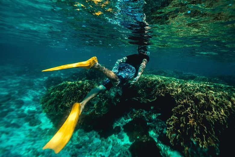 Snorkel en Portobelo - Snorkel en Portobelo