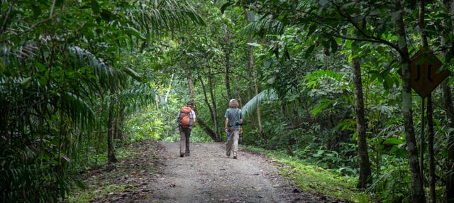 otro Independencia Sacrificio Senderismo por el Parque Nacional Soberanía desde Ciudad de Panamá -  Opiniones