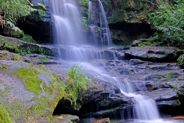 Excursion to Ybycui National Park from Asunción + Museum La Rosada