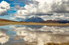 Laguna de Salinas Day Trip