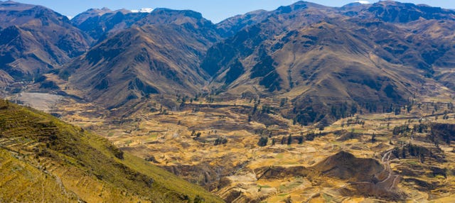Tour de 4 días por Arequipa y el Cañón del Colca