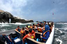 Passeio de lancha pelas Ilhas Palomino + Nadar com lobos-marinhos