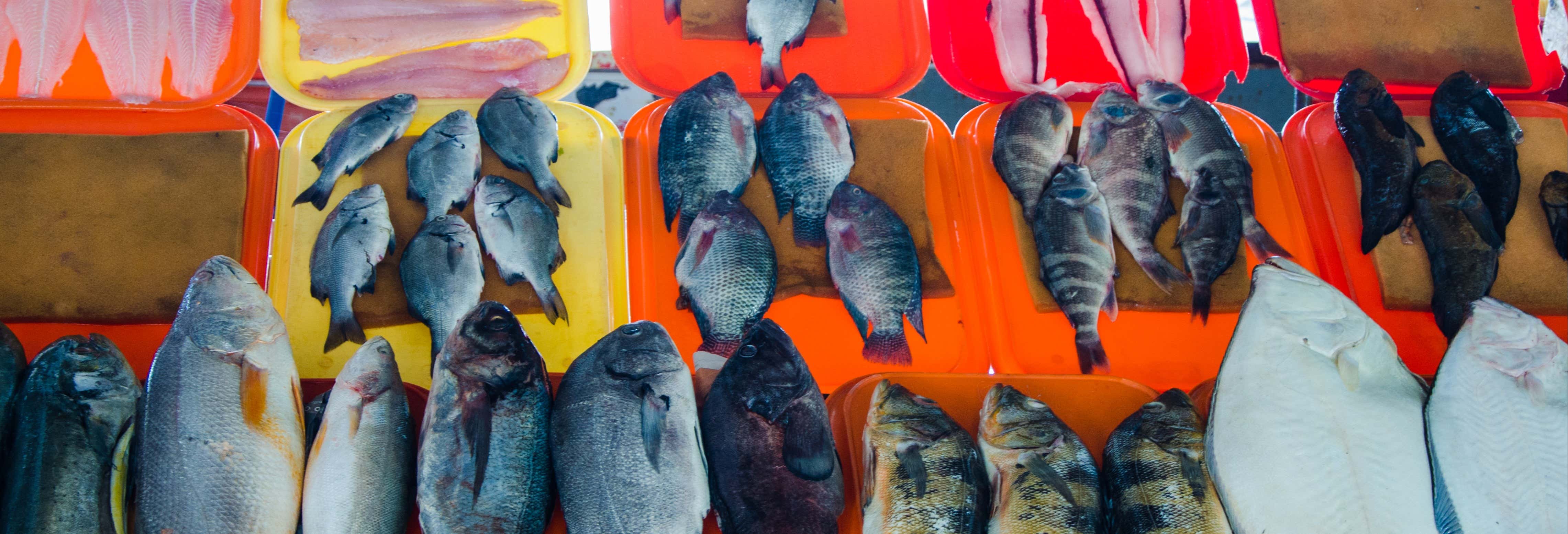 Tour pelo mercado de Chorrillos + Oficina de cozinha peruana