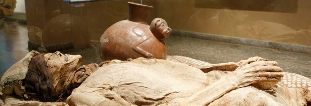 Excursión al Museo Arqueológico Brüning
