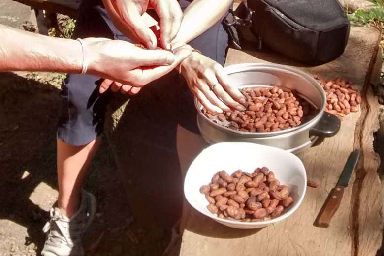 Cusco Cocoa Farm Tour, Cuzco