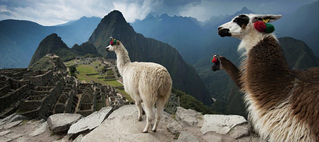 Selva de Machu Picchu, Valle Sagrado y Montaña Arcoíris en 6 días