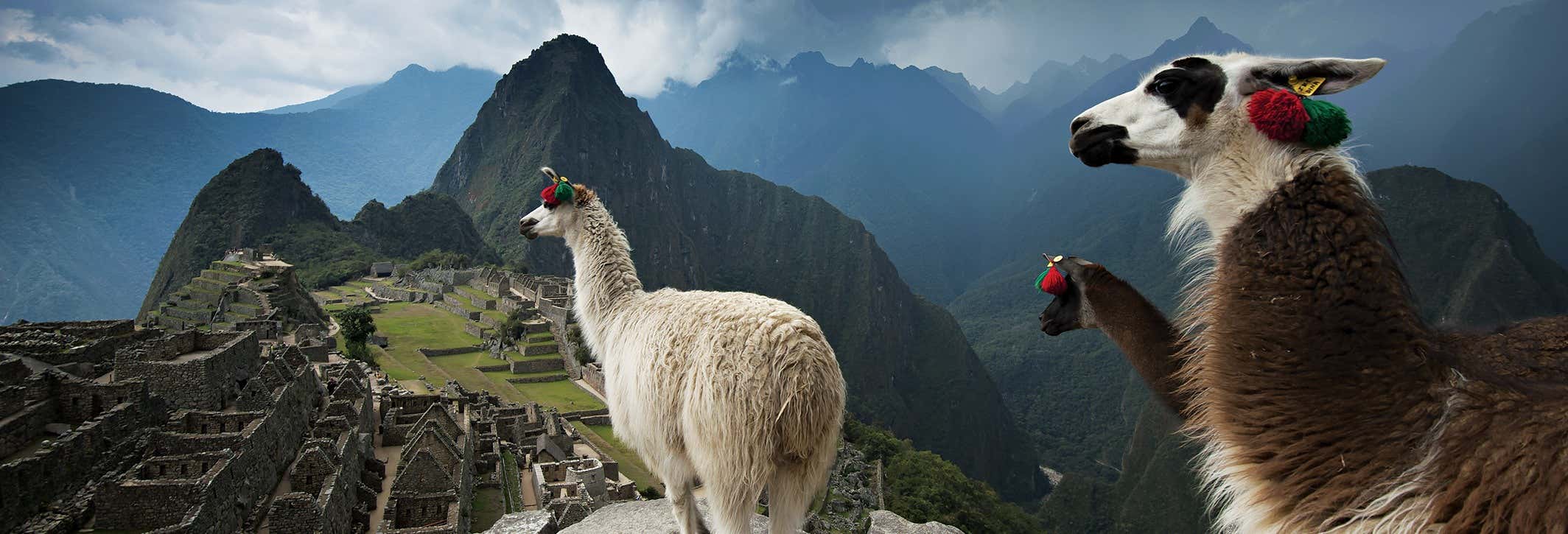 Selva de Machu Picchu, Valle Sagrado y Montaña Arcoíris en 6 días