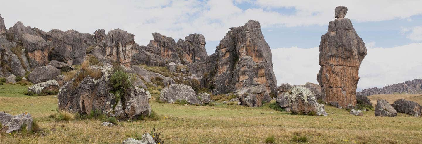 Excursión al Santuario Nacional de Huayllay