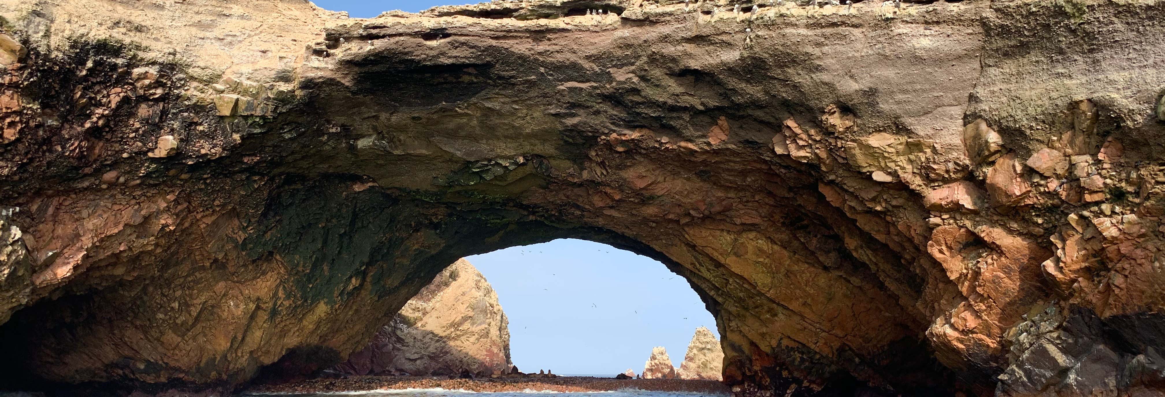 Ballestas Islands Tour