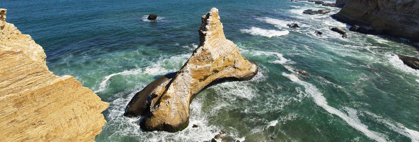 Escursione alla Riserva Nazionale di Paracas